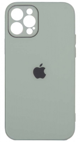 Силиконовый чехол для Apple iPhone 12 Pro стеклянный с защитой камеры мятный