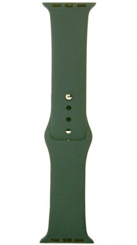 Ремешок на руку для Apple Watch 38-40mm силиконовый Sport Band хвойный