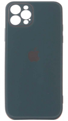 Силиконовый чехол для Apple iPhone 12 Pro стеклянный с защитой камеры хвойный